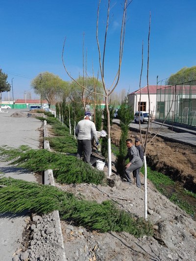 Пахта-тўқимачилик кластери раҳбарияти ташаббуси билан янги боғ ташкил қилинди